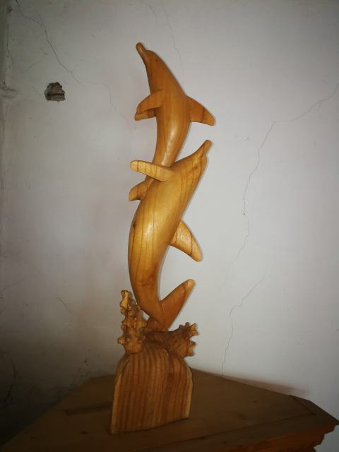 Faragott delfinek